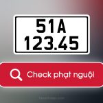 Check phạt nguội Online