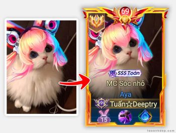 Chế ảnh khung skin Liên Quân Mobile (Khung rank mới 2024)