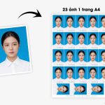in-anh-the