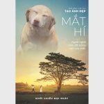 mat-hi