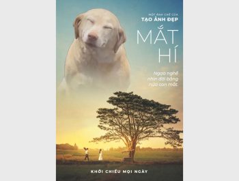 Chế poster Mắt Biếc theo ảnh của bạn